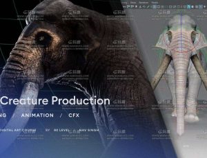 MAYA猛犸象绑定&动画&CFX全流程大师课程