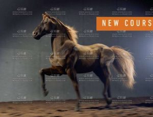 Rebelway Houdini中Apex与Kinefx生物绑定大师班